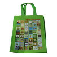 佛山LB11覆膜无纺布广告袋